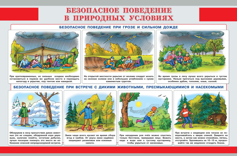 Безопасное поведение в природных условиях Безопасное поведение в природных условиях.